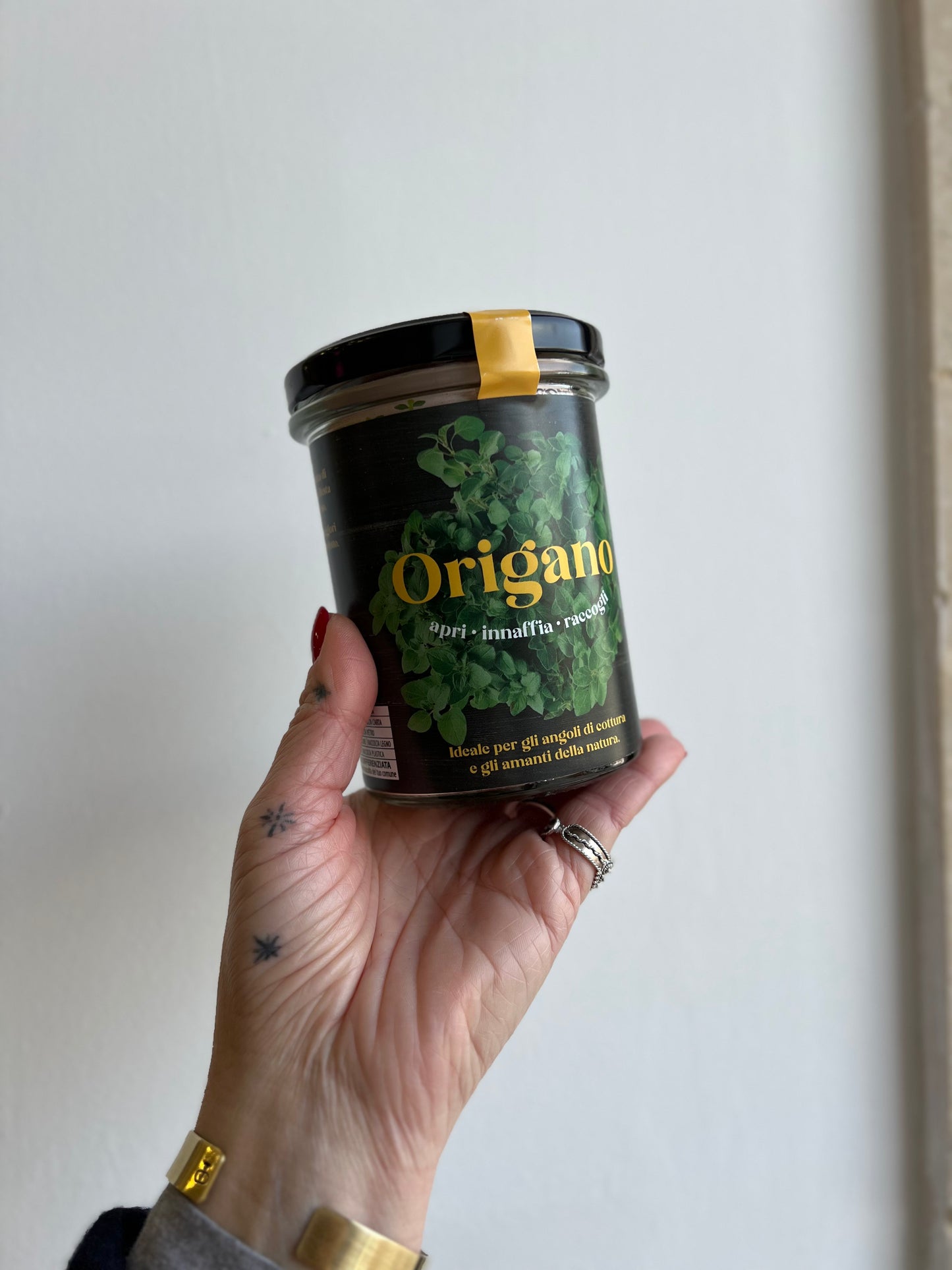 Orto di Cucina